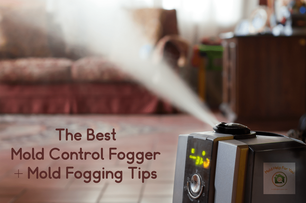 The Ultimate Mold Foggers Guide