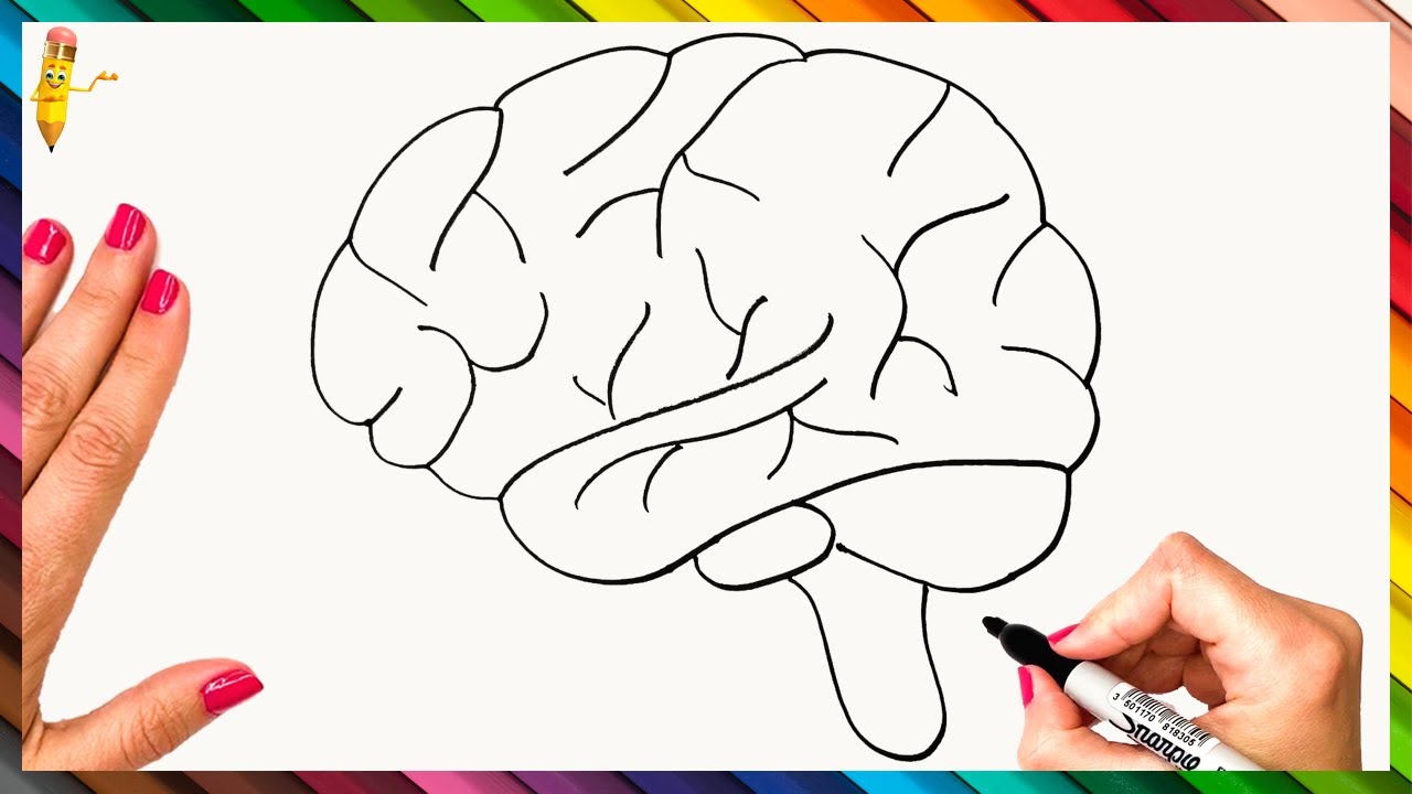 How To Draw A Brain