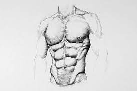 How To Draw Abs