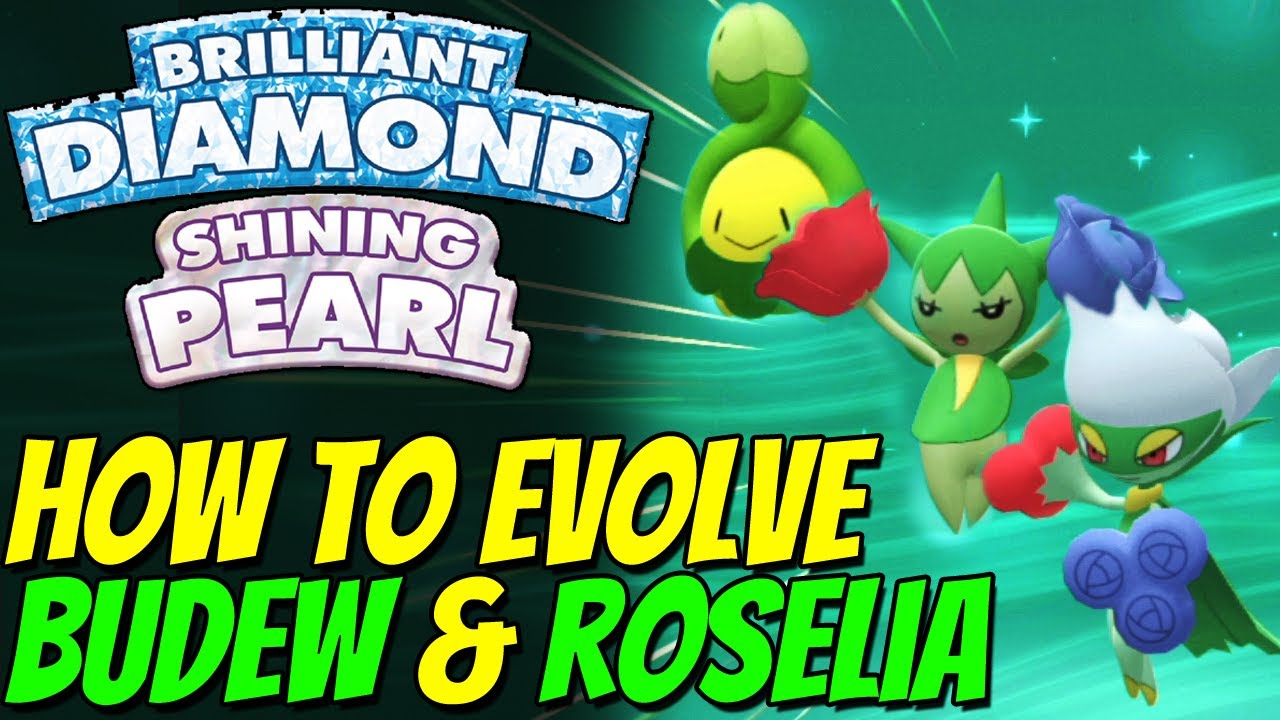 How to Evolve Budew