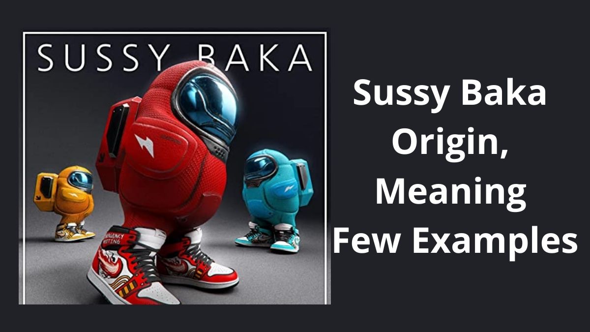 What does Sussy Baka mean