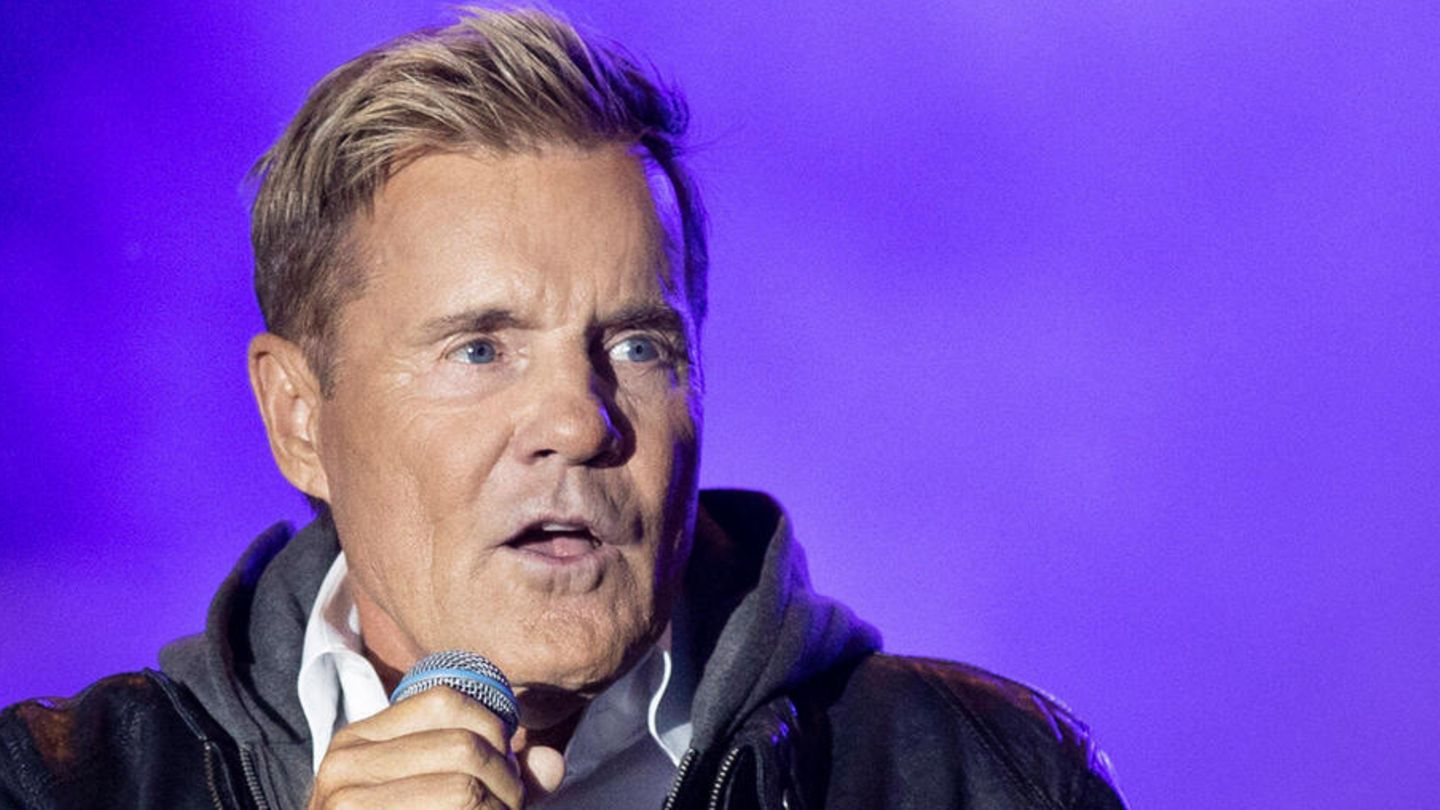 Dieter Bohlen Net Worth and Income