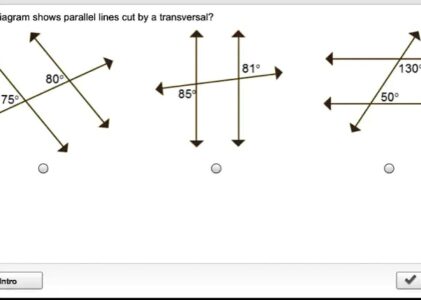 Which diagram shows lines that must be parallel lines cut by a transversal?