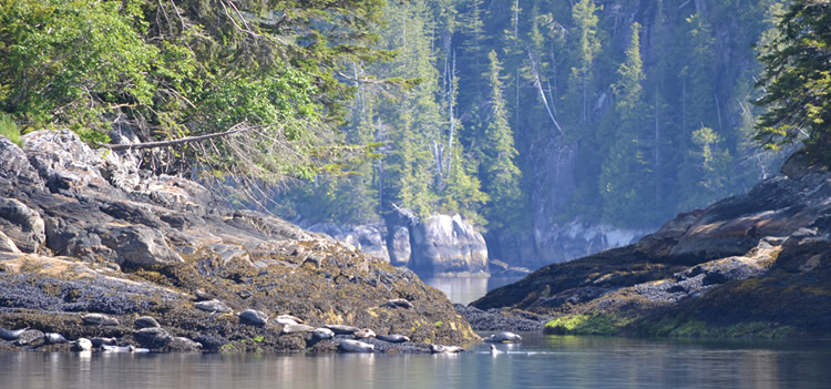 Misty Fjords National Monument: An Unspoiled Wilderness