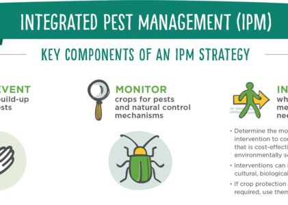 What Is Integrated Pest Management (IPM)?