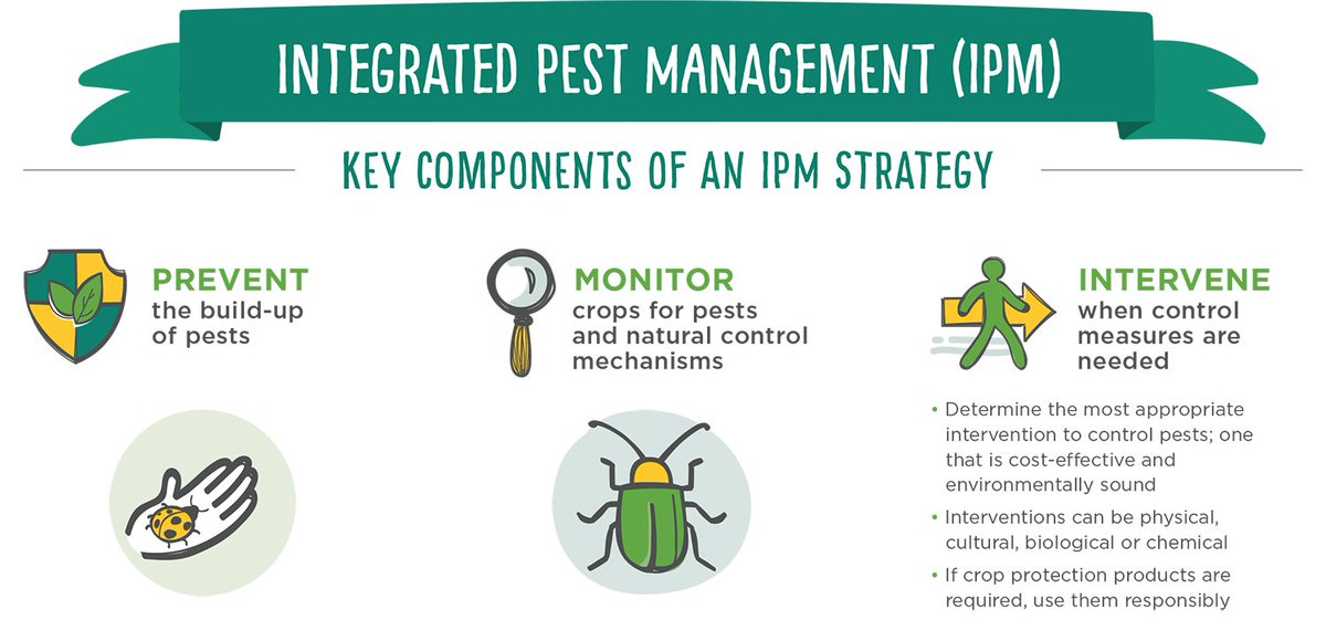 What Is Integrated Pest Management (IPM)?