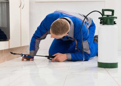 Is There a Difference Between Pest Control and Extermination?