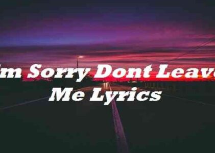 Sorry Lyrics