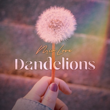 Dandelions Lyrics