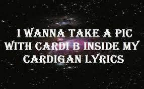 I Wanna Take A Pic With Cardi B Lyrics