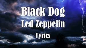 Black Dog Lyrics