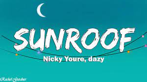 Nicky Youre Sunroof Lyrics