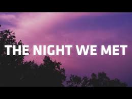 Take Me Back To The Night We Met Lyrics