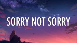 Sorry Not Sorry Lyrics