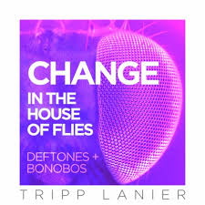 Change In The House Of Flies Lyrics