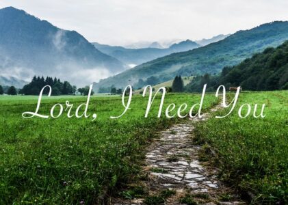 Lord I Need You Lyrics