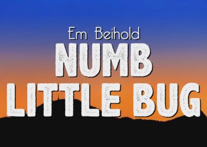 Em Beihold Numb Little Bug Lyrics