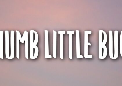 Numb Little Bug Lyrics