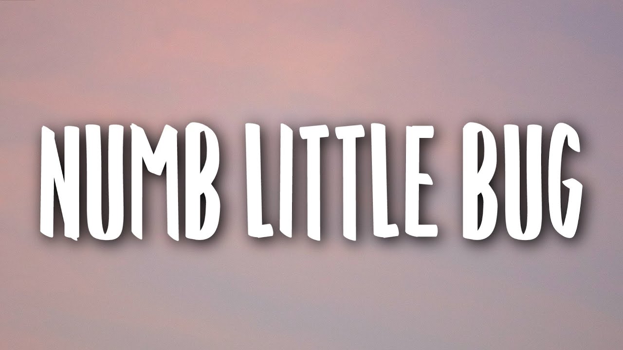 Numb Little Bug Lyrics