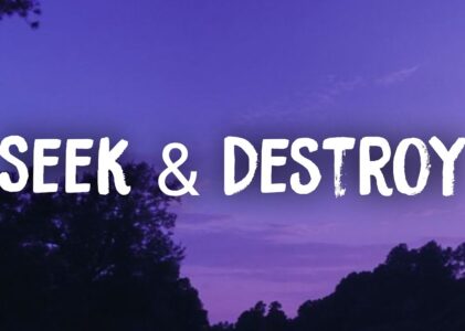 Seek And Destroy Lyrics