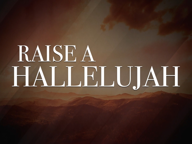 Raise A Hallelujah Lyrics