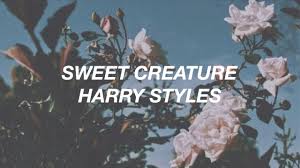 Sweet Creature Lyrics