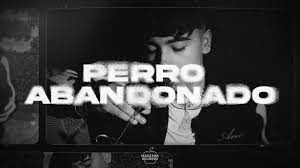 Perro Abandonado Lyrics