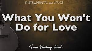 What You Won’t Do For Love Lyrics