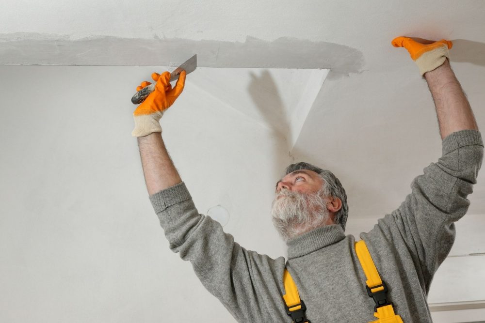 Plaster & Ceiling Repair Services