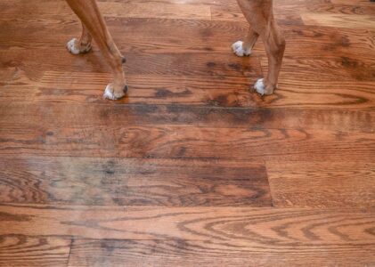 What Causes Black Stains On Hardwood Floors