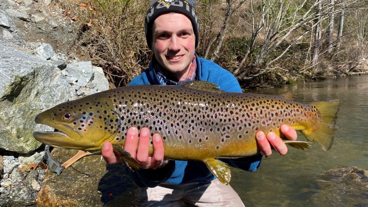 French Broad River Fly Fishing